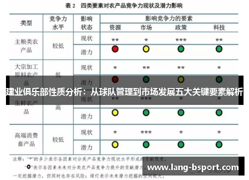 建业俱乐部性质分析：从球队管理到市场发展五大关键要素解析